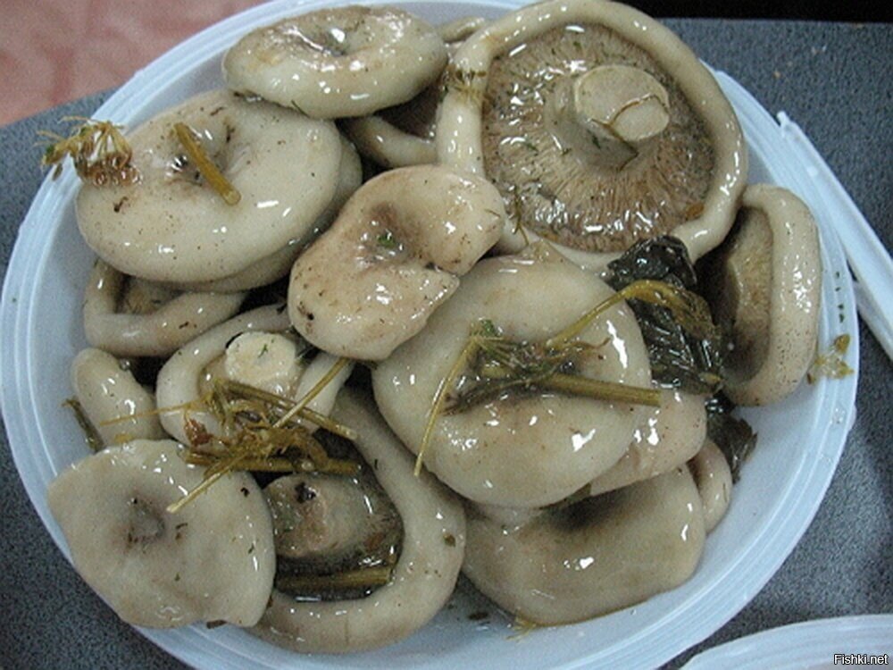 Солянка