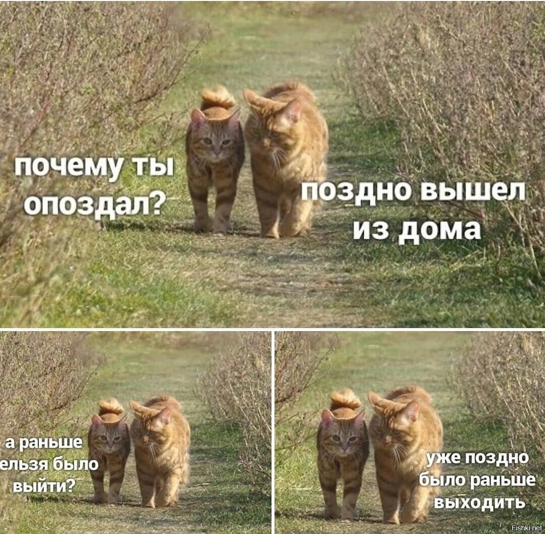 Логика, она такая