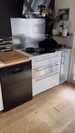 ваще ни грамма совести