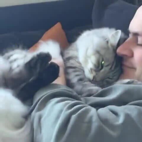 любофь