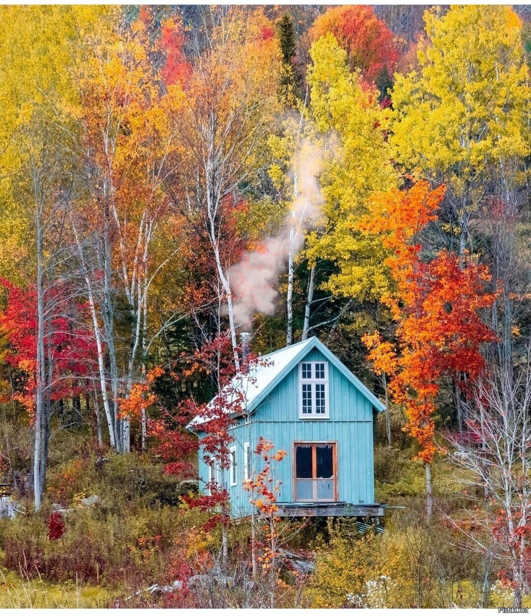 Солянка