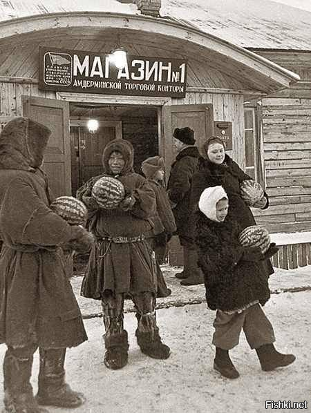 Торговля арбузами в поселке Амдерма, на берегу Карского моря