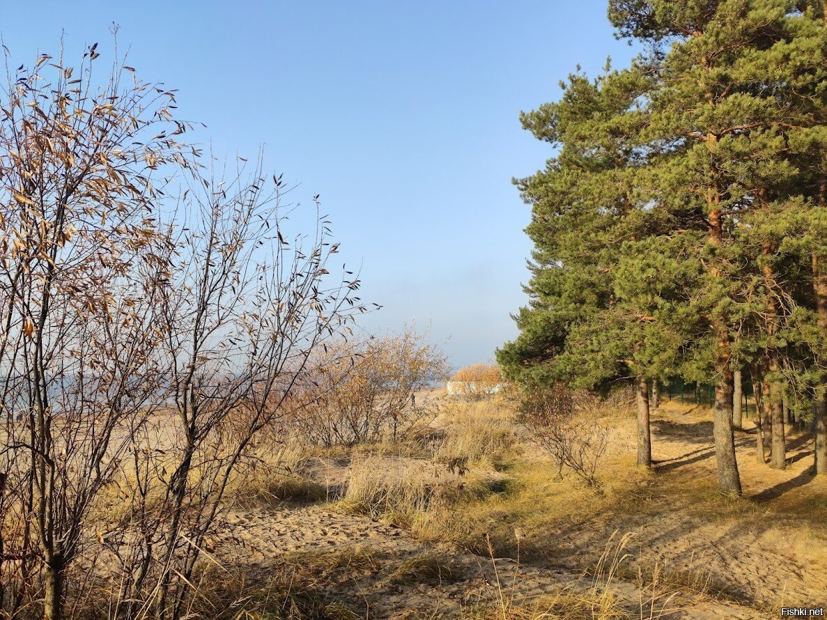 Сходили погулять на "море"