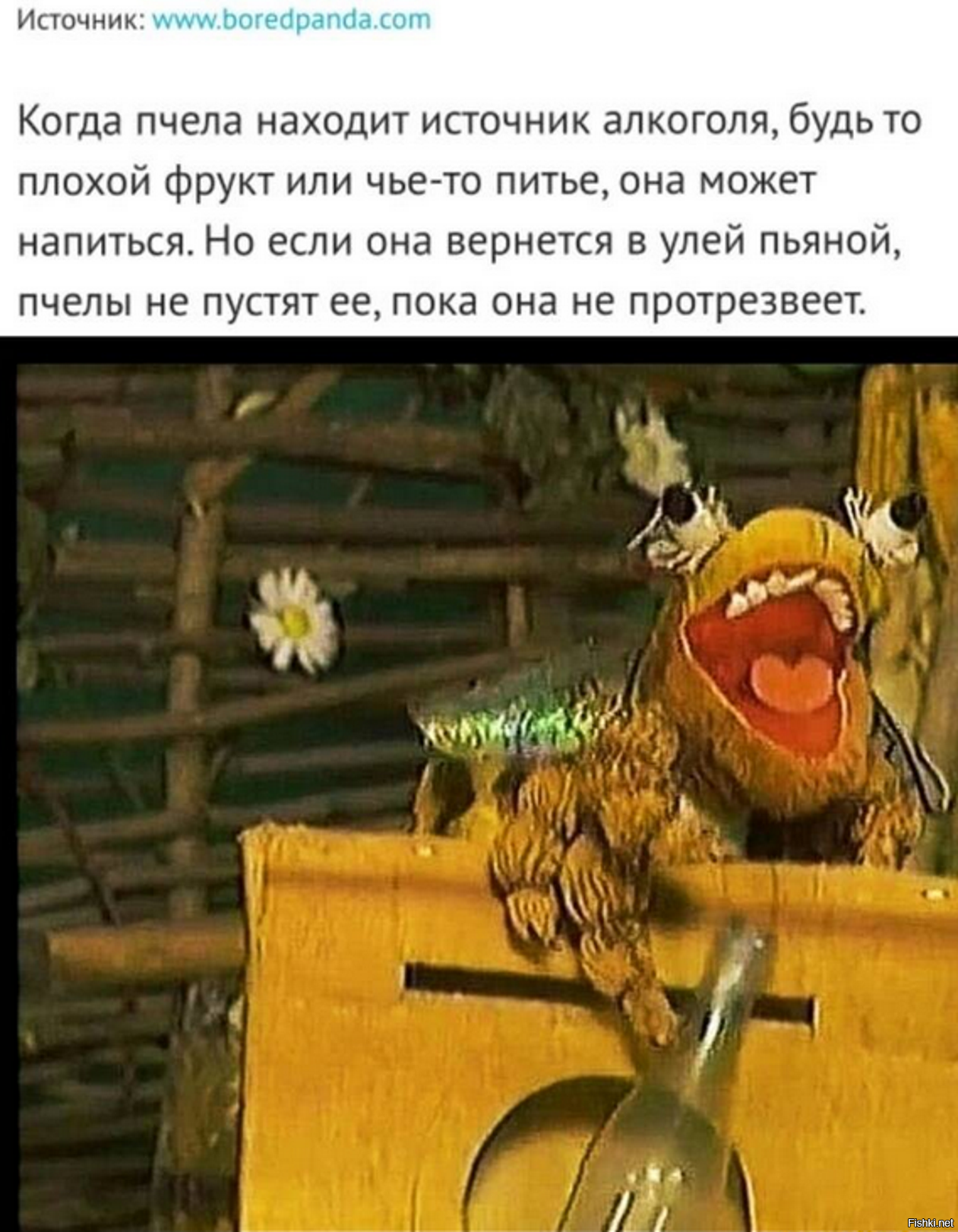 Солянка
