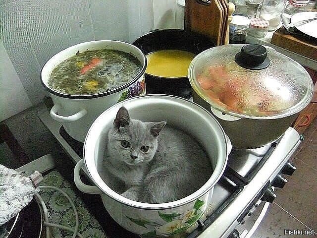 Солянка