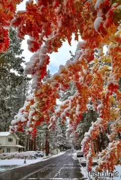 Доброго утра, хорошего дня)