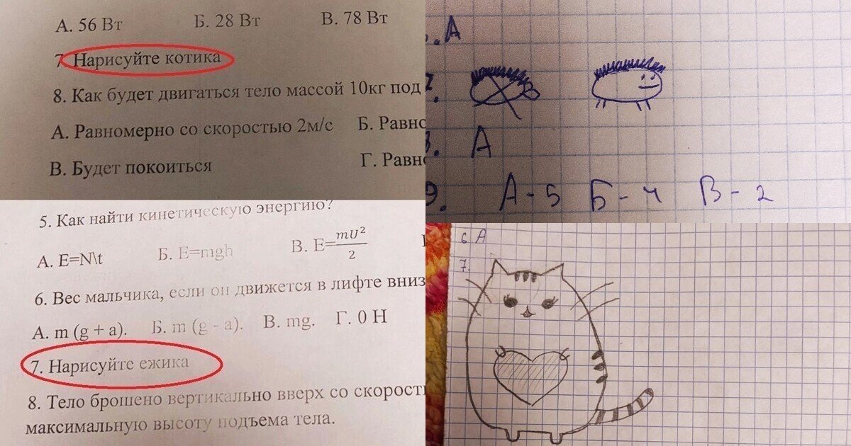 Учительница из Тюмени предложила студентам нарисовать в контрольной котика - справились даже двоечники
