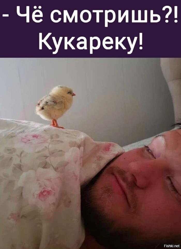 Доброе утро