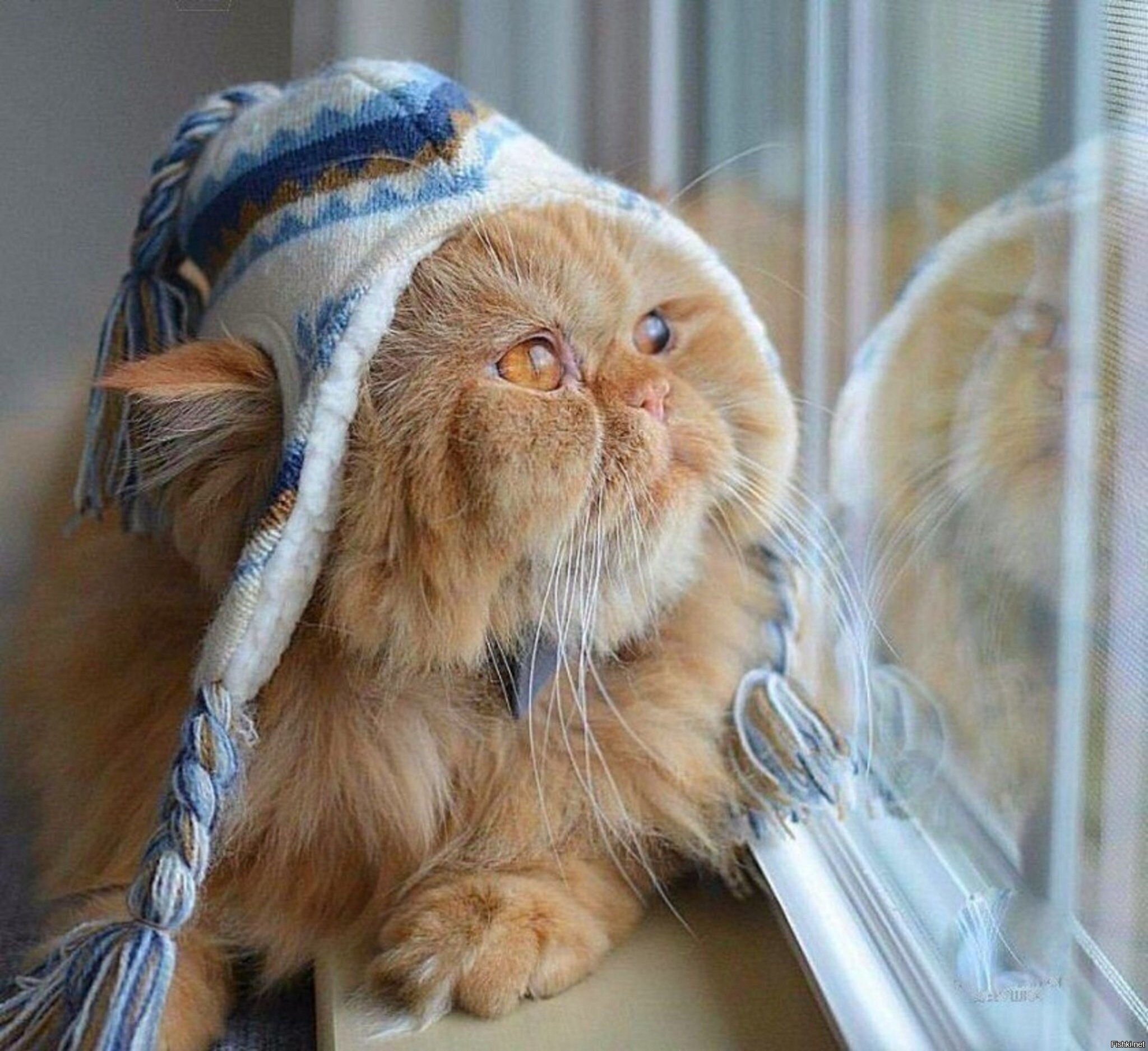 - Дааа, зимаааа