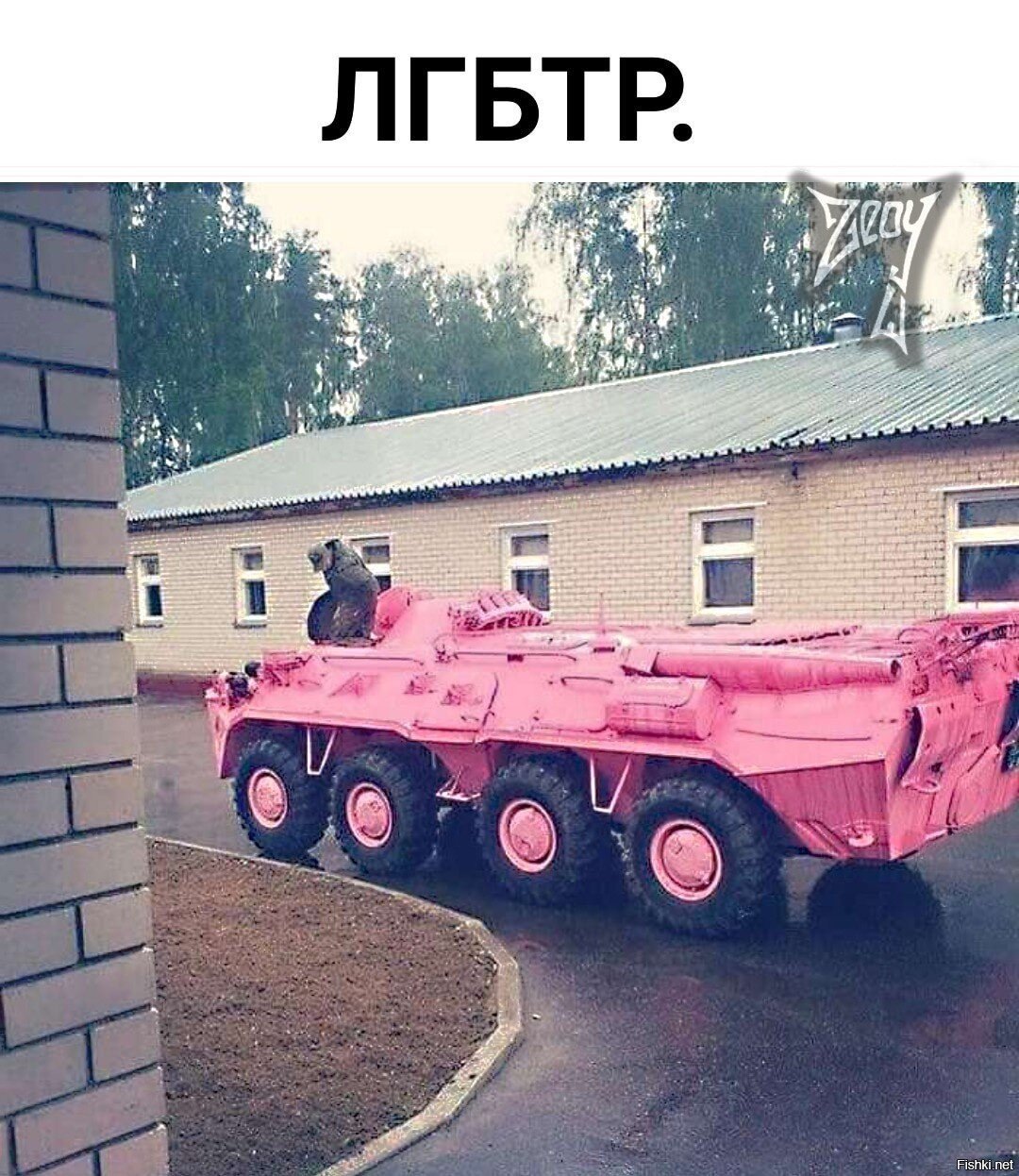 Солянка