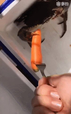 Овощерезка