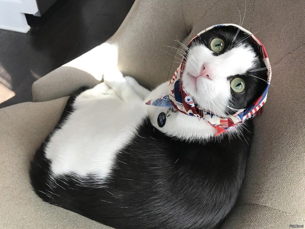 Солянка