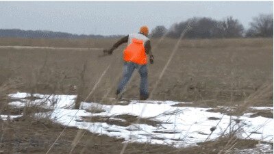 Типичная охота с луком