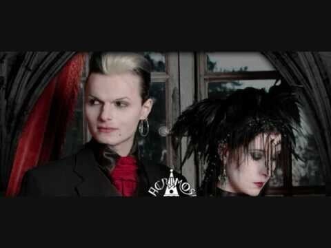 мои любимые лакрики