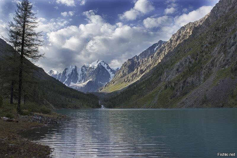 Солянка