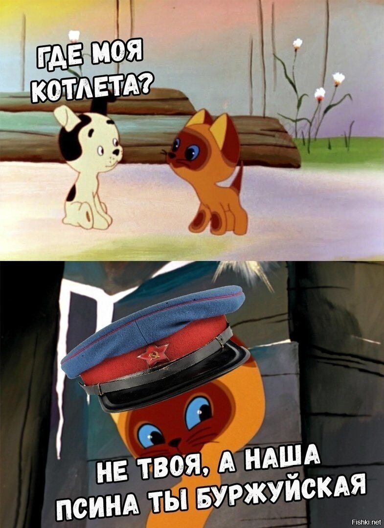 Солянка
