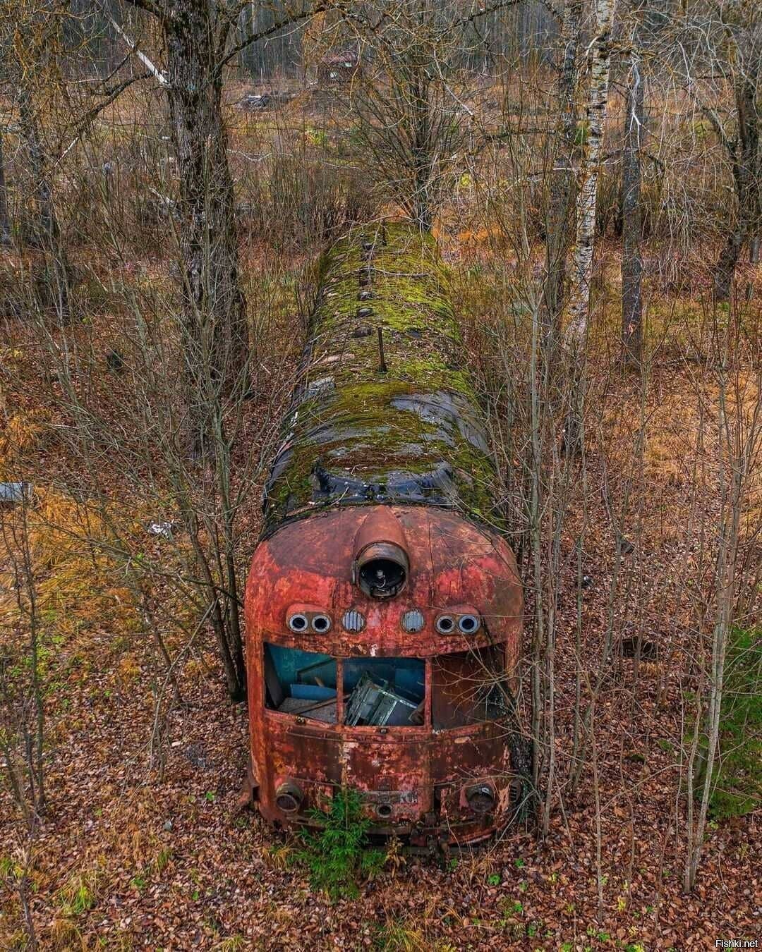Солянка