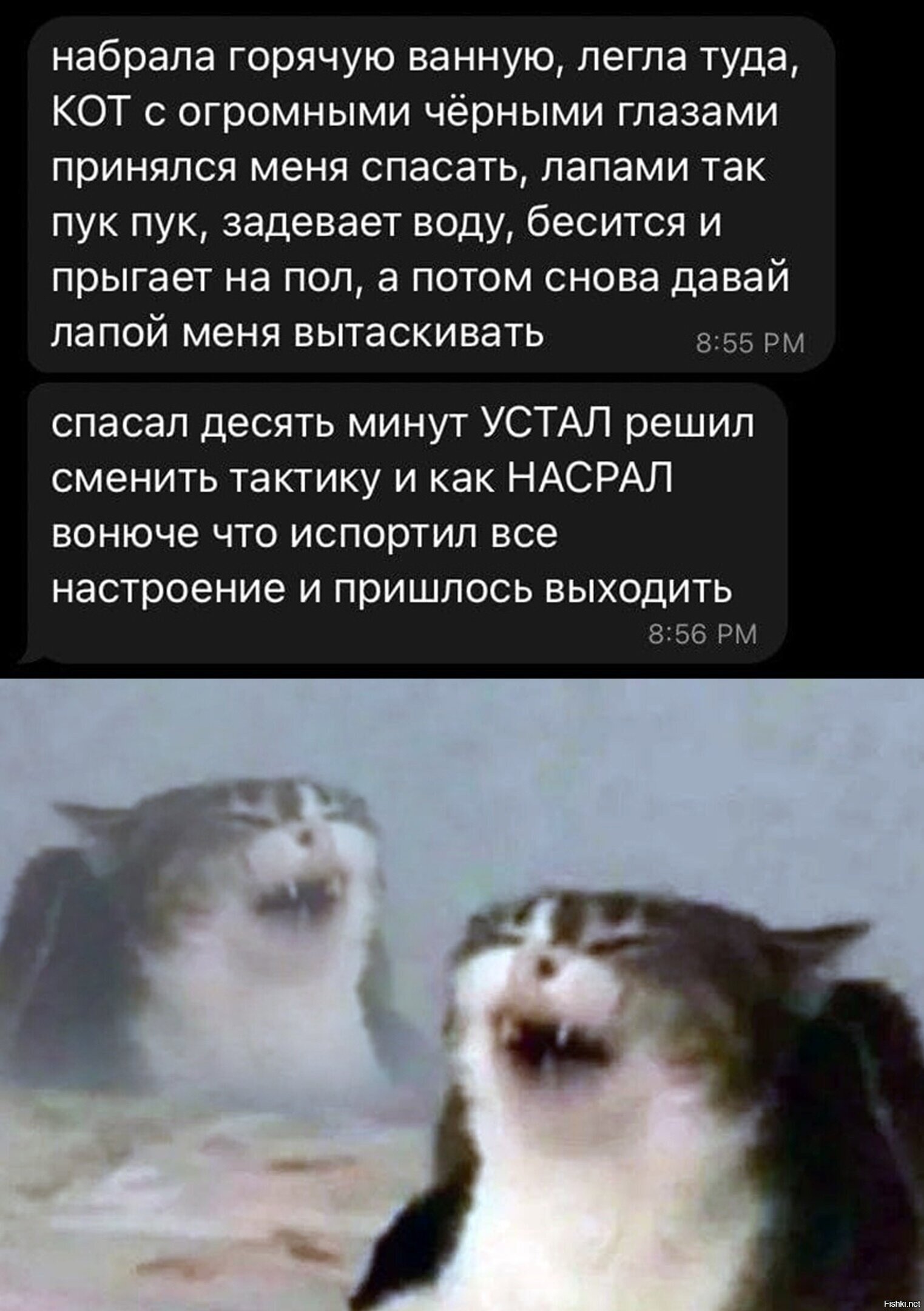 Солянка