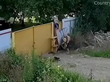 Горе-грабители