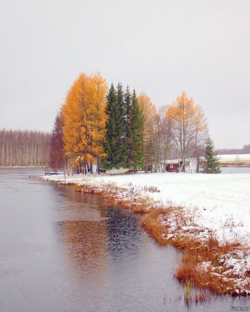 Солянка