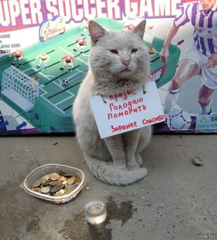 Солянка