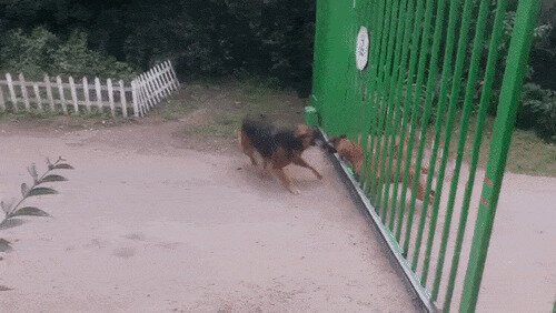 Вот и пообщались