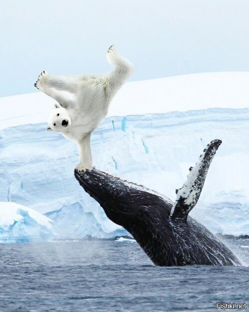 Хоба