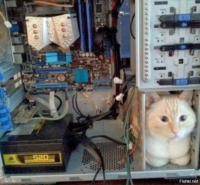Солянка