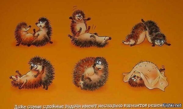 Солянка