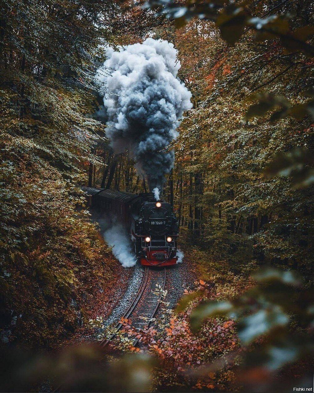 Солянка