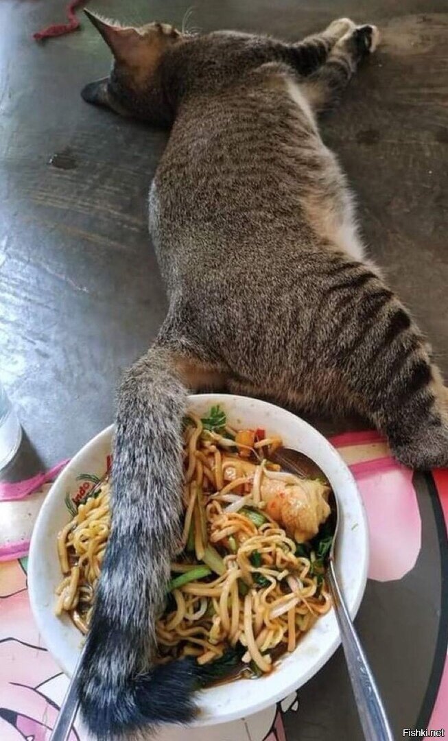 Солянка