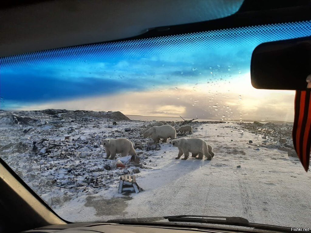 Солянка
