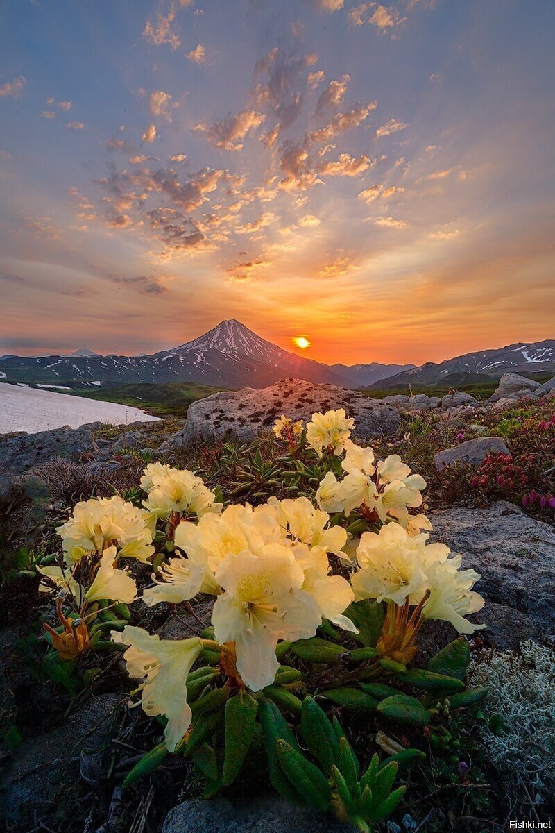 Камчатка