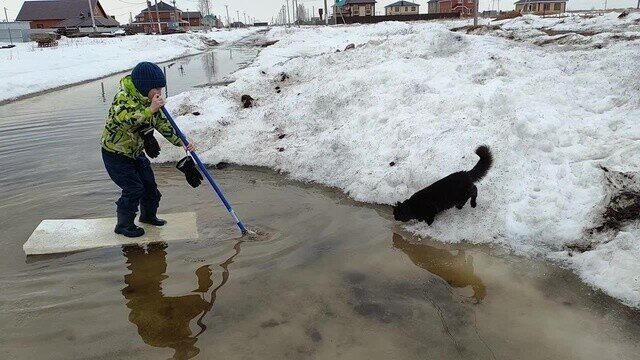 Солянка