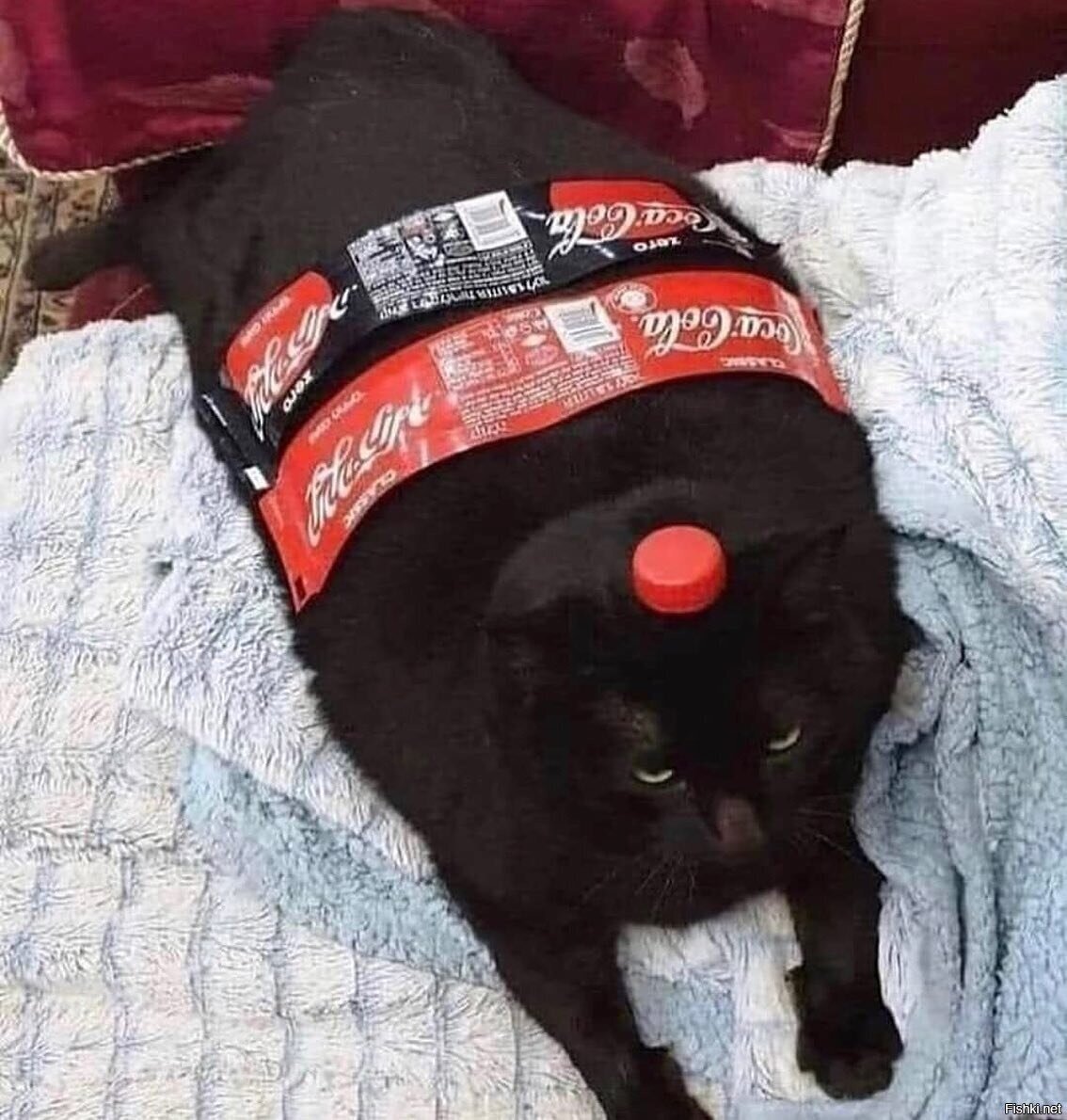 Солянка