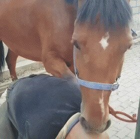 ты мне, я тебе
