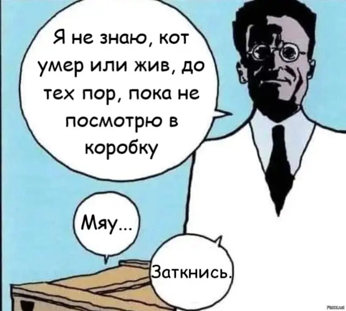 А Шрёдингер такой говорит