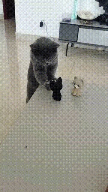 шоб по фен-шую