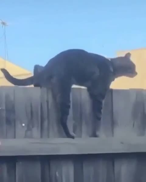 Сложное перемещение)