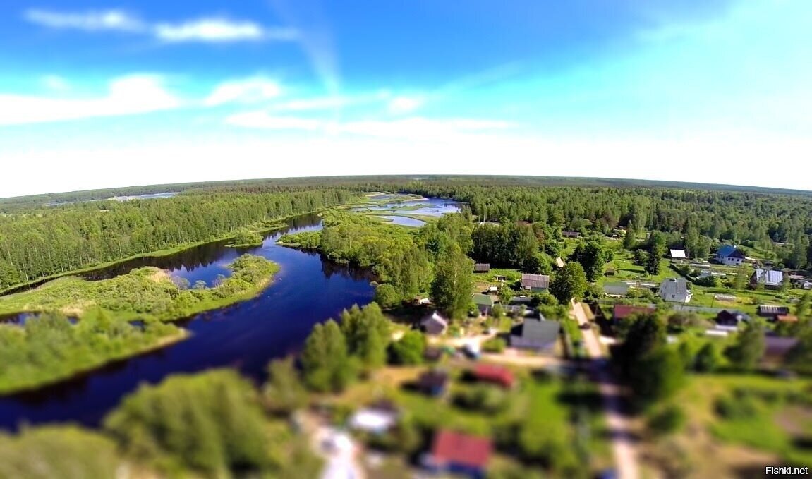 Река Оредеж