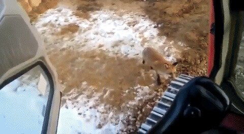 - Прокати меня дядя на тракторе