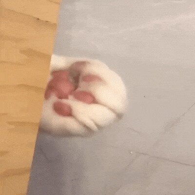 новая версия коробочки, которая тырит монетки