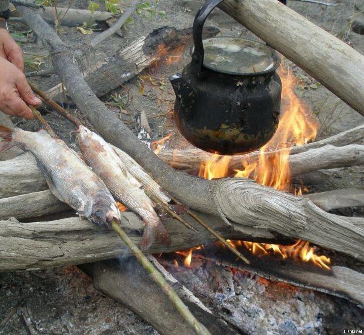 Ленин в РОзливе