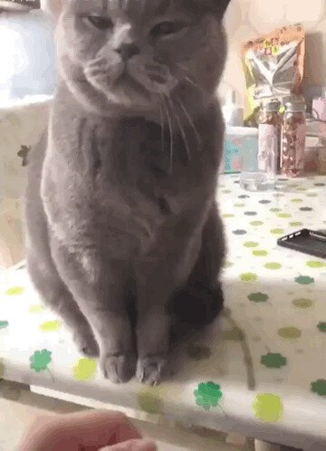 ....и передай другому!