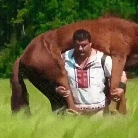 Солянка