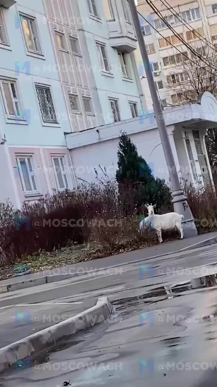 В Бутово))))