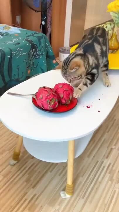 Наглый и всеядный   ))