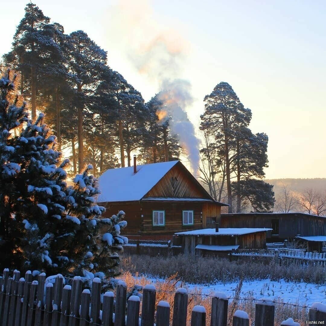 Солянка