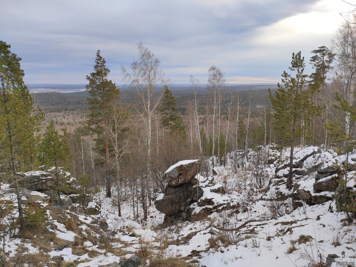 Солянка