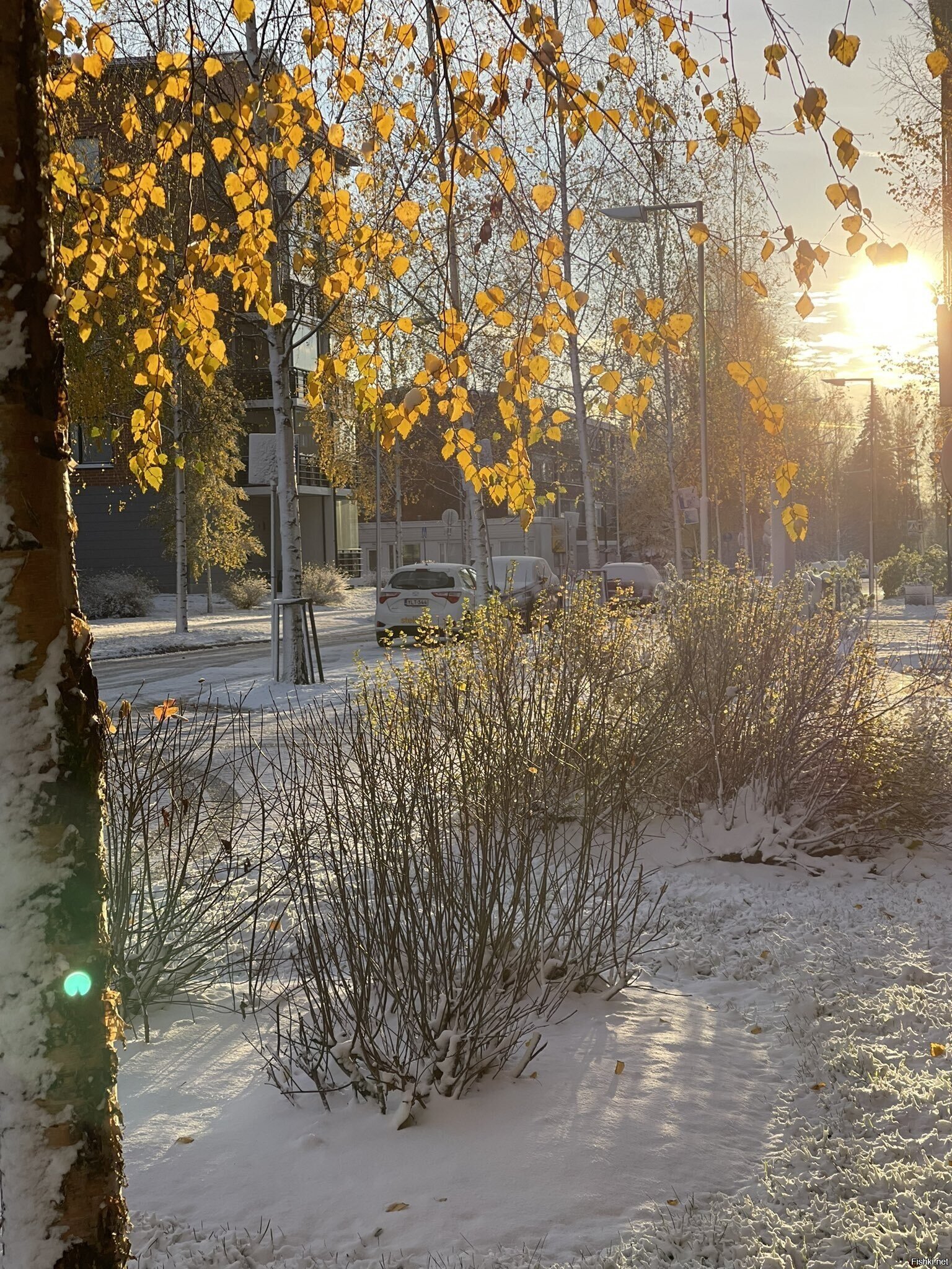 Солянка